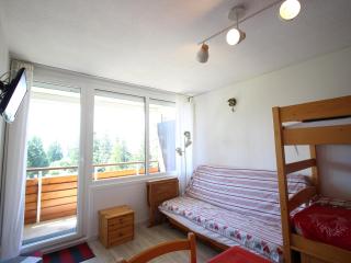Studio 4 pers, proche pistes, balcon Sud, Chamrousse - FR-1-549-139 - 8