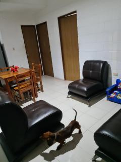 Casa Dachshound - Playa del Carmen - 3