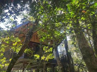 Roca Verde - Monteverde Cloud Forest Lodging - 2