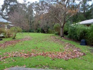 Homefield Cottage Halls Gap - Halls Gap - 5