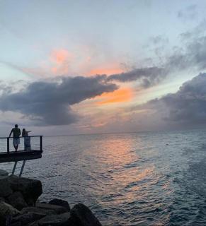 Belles on Ballow - Wombat Lodge - 5