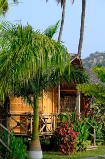 Blue Sky Cottages Hampi - Hampi - 8