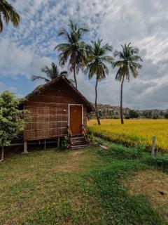Blue Sky Cottages Hampi - Hampi - 5