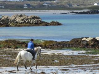 Waterside Cottage, Cashel - Galway - 6