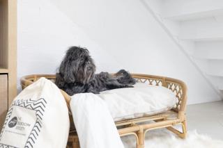 Hanks Corlette House, 49 Pantowora St - pet friendly, air con, boat parking, Wi-Fi - Corlette - 9