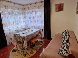 Casa Camely Busteni - Buşteni - 4