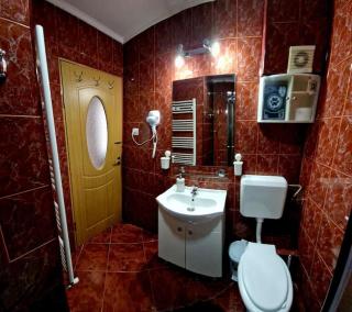Casa Camely Busteni - Buşteni - 1
