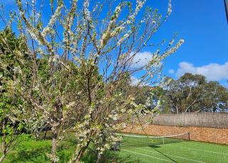 Entire Maggie's Guesthouse - free cinema, pool, spa, tennis court, karaoke, more! - Warrandyte - 4