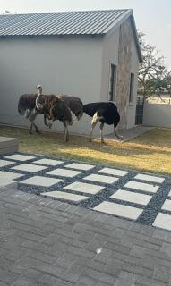 The 314 Euphoria Golf Estate - 7