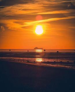 BRAND NEW Stay in Southend with a garden - Southend-on-Sea - 5