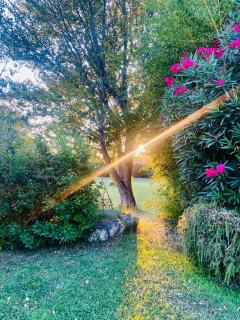 Les Jardins du Soleil - Avignon - 9