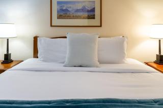 Beauty in the CBD - 1bed Free Parking Pool - Christchurch - 1