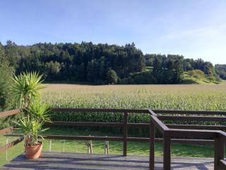Ferienhaus Am Bach - Kirchberg an der Raab - 9