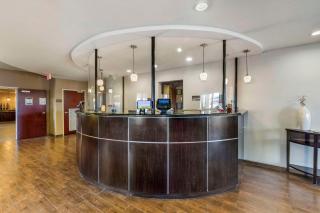 Comfort Suites - Blythe - 6