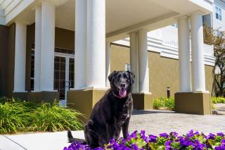Homewood Suites by Hilton Erie - Erie - 9