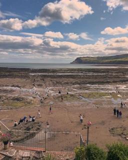 Frida By The Sea - Robin Hood's Bay - 5