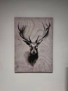 Urban Cairo Maadi-Near the Nile - 5