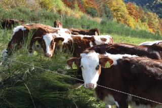Grundhof 2 - Im Grund - 3