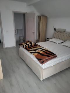 Vila MAE STAR - Curtea de Argeş - 5