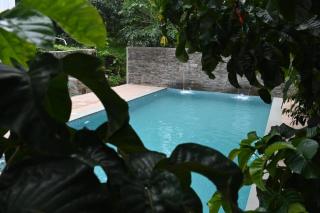 White Palace Ahirappilly - Athirappilly - 5