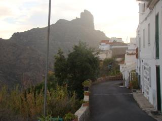 Casa Rural Paisajes de Tejeda - Tejeda - 8