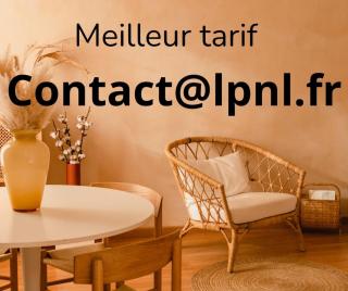 Le Mini Nid, accès terrasse de l'établissement - Rives - 8