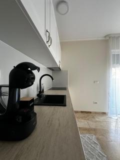 RMR Luxury Apartaments - Timişoara - 1