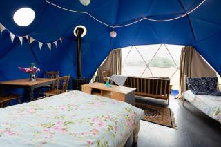 New Holland Dome - 2