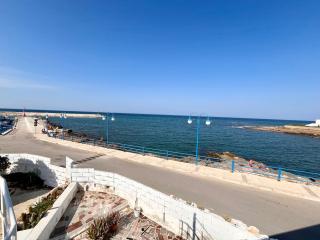 Elegant Seafront Villa - Whirpool, Parking, AC & WiFi - Villanova di Ostuni - 9