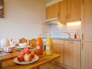 Apartment Plein Sud 3 by Interhome - Ovronnaz - 4