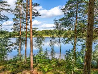 Holiday Home Gaslunda by Interhome - Olofström - 5