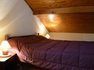 Appartement cosy 3 pièces, 4 pers, balcons, proche centre et télécabines à Châtel - FR-1-676-65 - Châtel - 5