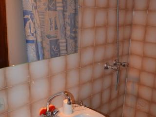 Appartement cosy 3 pièces, 4 pers, balcons, proche centre et télécabines à Châtel - FR-1-676-65 - Châtel - 1