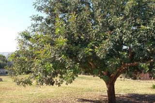 Dimore del Carrubo - loft ad Avola - 2