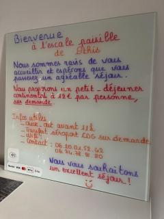 Escale paisible entre ville et nature - 9