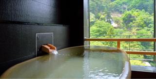 Arima Onsen Gekkoen Korokan - Kobe - 3