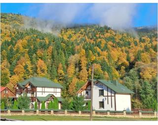 Villa Girska Sonata - Mykulychyn - 6