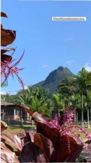 Hotel Fazenda Monte Crista - Rio Bonito - 3