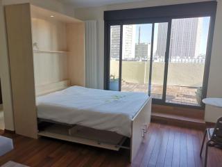 Top floor parisian apartment with terrace - 3