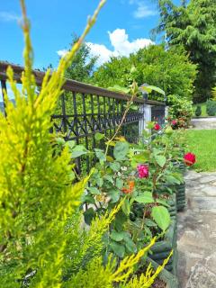 Philoxenia Hotel - Paranesti - 5