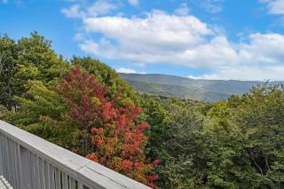 Wishlist - Beech Mountain - 8