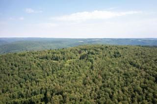 Les cabanes des Dolimarts - 7