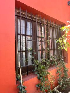 Hermosa casita con jardín Goldas Haus - Florida - 6