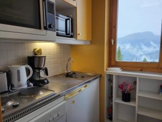 Appartement cosy proche pistes, vue vallée - FR-1-181-2832 - 5