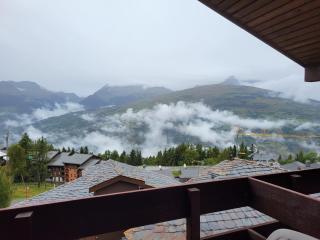 Appartement cosy près des pistes avec balcon et TV - FR-1-181-2832 - La Plagne Tarentaise - 2