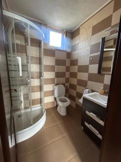 Transilvania Guesthouse - Miercurea Sibiului - 8