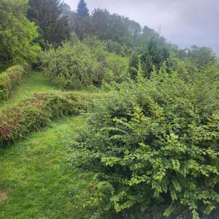 Maison Bourgogne - 6