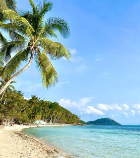The Blue Lion Villa Samui - Chaweng Noi Beach - 9