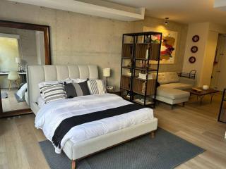 Inigualable estudio en Condesa - Mexiko-Stadt - 1