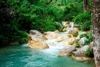 Rishikesh Valley - 5